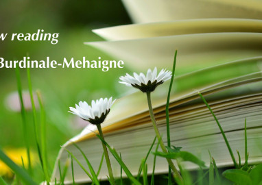 Lecture: Slow Reading en Burdinale Mehaigne 