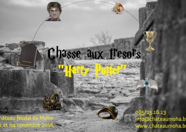 animation: Chasse aux trésors "Harry Potter"