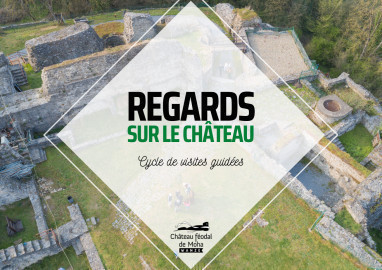 Visites guidées: Regards sur le Château